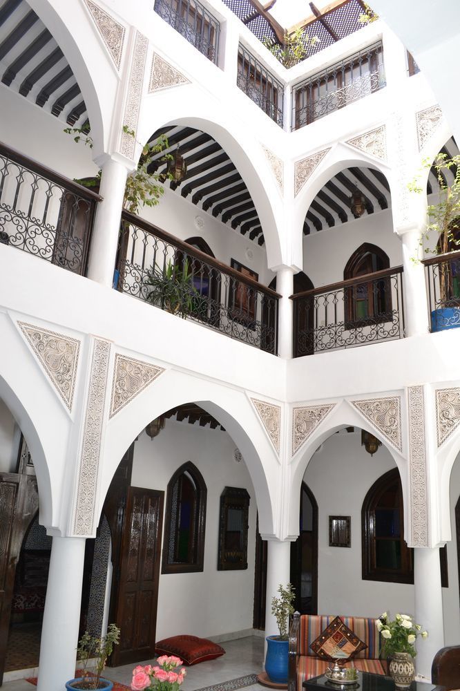 رياض بلقيس